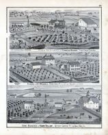 Charles Gurney, A. V. Mitchell, Adam Diller, Farm, Residence, Otter Creek, La Salle County, La Salle County 1876